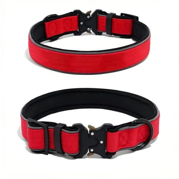 Reflective outdoor dog collar with red webbing