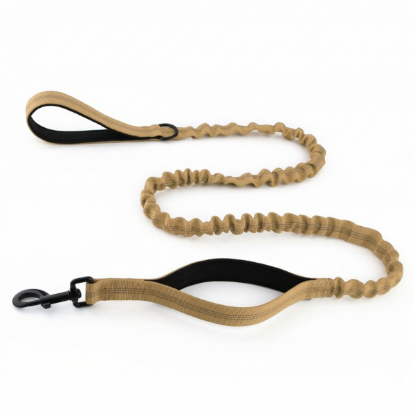 Dual-handle shock-absorbing leash for strong dogs