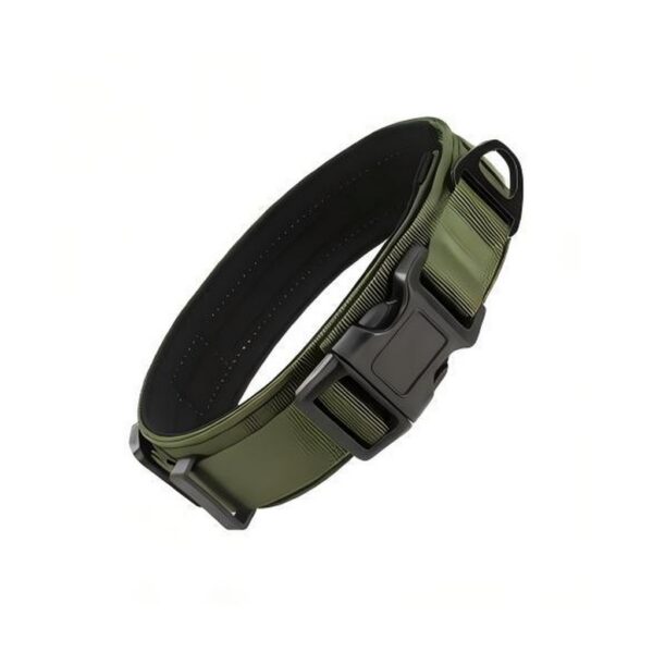 Heavy-duty padded dog collar with quick-release buckle