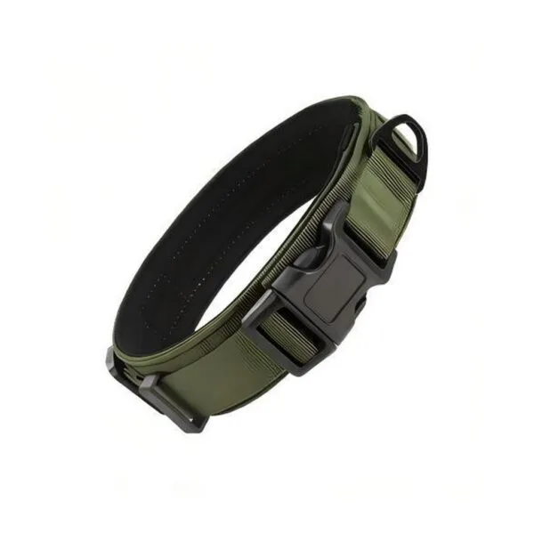 Heavy-duty padded dog collar with quick-release buckle