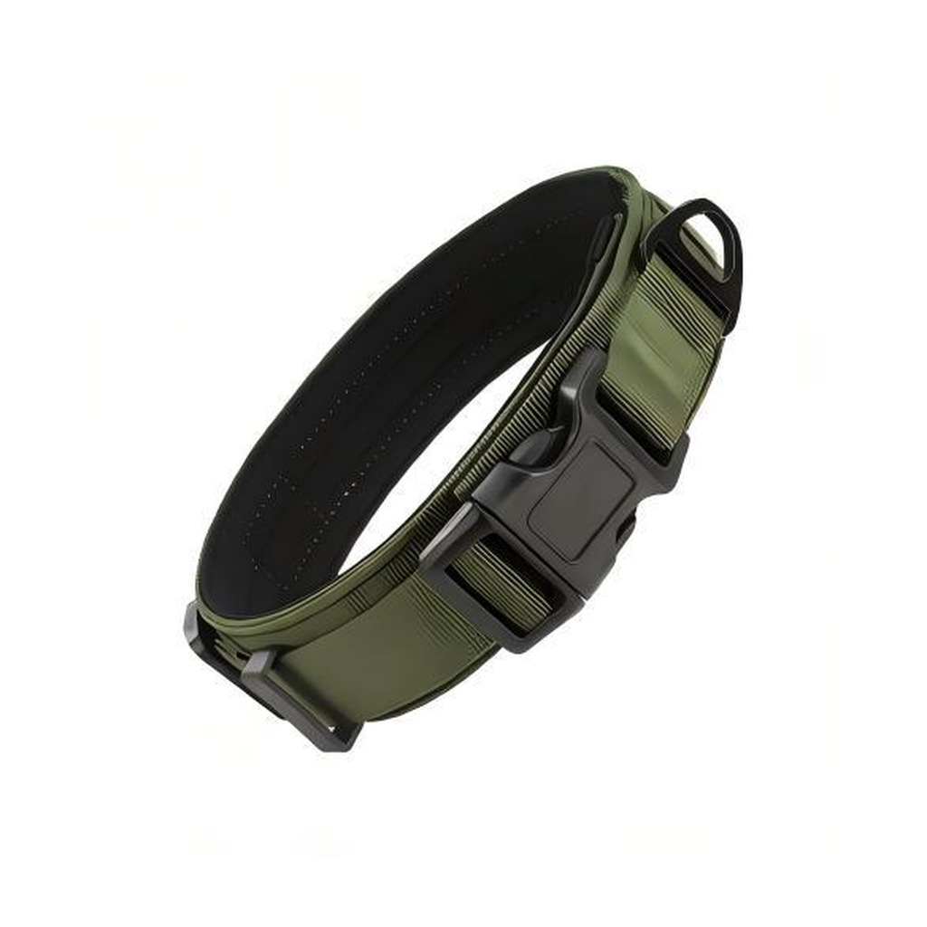 Heavy-duty padded dog collar with quick-release buckle