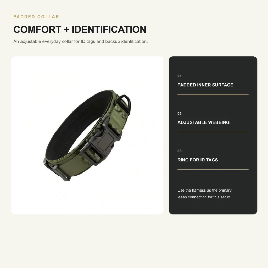 Padded adjustable dog collar with a ring for identification tags